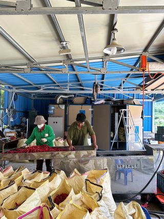 김성미님의 작성글 사진