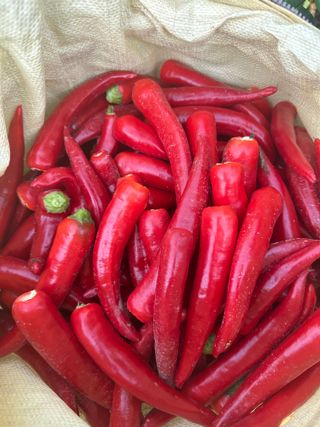 김성미님의 작성글 사진