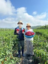 팜모닝 · 게시글 이미지