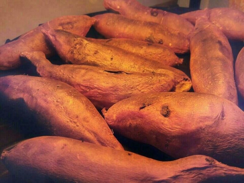 장금이1님의 장터 판매 상품 [꿀밤 한입고구마 27.000] 첨부 사진