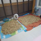 팜모닝 기타작물·영농일지 게시글 이미지