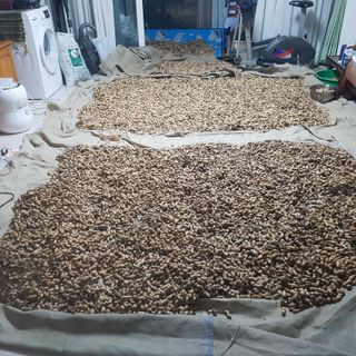 음나무(소철수)님의 기타작물 · 영농일지 작성글 사진