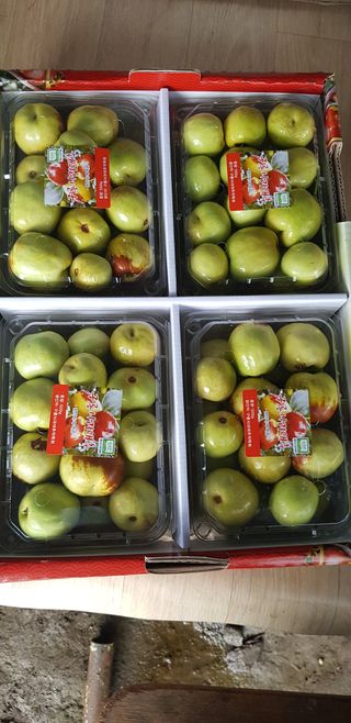 운치농장님의 기타작물 · 자유게시판 작성글 사진