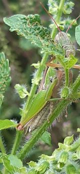 팜모닝 자유주제·자유게시판 게시글 이미지