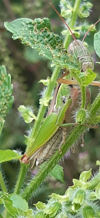 새리님의 자유주제 · 자유게시판 작성글 사진