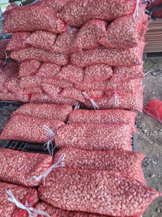 정무이님의 가을 농사계획 알려주세요🍁 · 참여글 작성글 사진