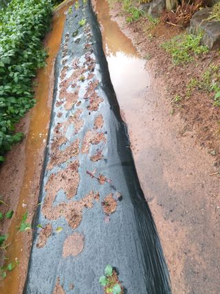 심무재 님의 가을 농사계획 알려주세요🍁 · 참여글 작성글 사진