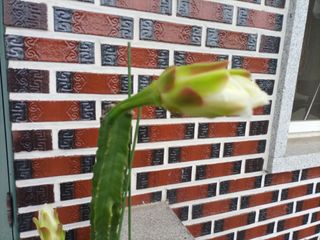 김경수님의 기타작물 · 자유게시판 작성글 사진