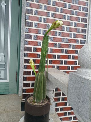 김경수님의 기타작물 · 자유게시판 작성글 사진