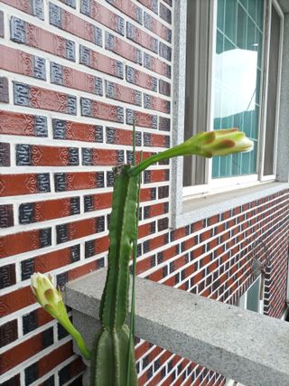 김경수님의 기타작물 · 자유게시판 작성글 사진