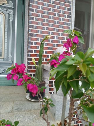 김경수님의 기타작물 · 자유게시판 작성글 사진