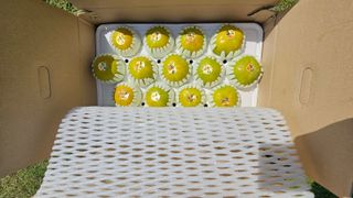 자연애 단감농원님의 작성글 사진