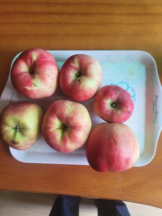 사과청일농원🍎님의 사과 · 수확 작성글 사진