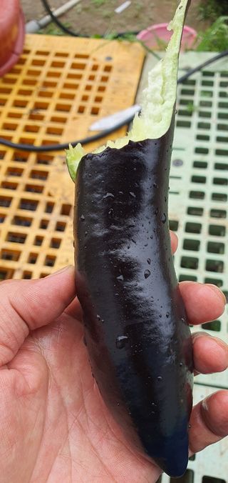 박진욱님의 기타작물 · 자유게시판 작성글 사진