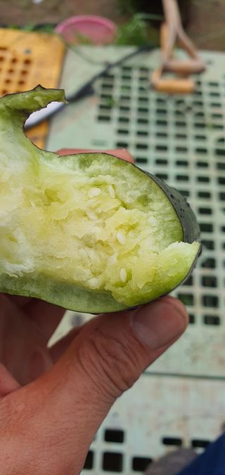 박진욱님의 기타작물 · 자유게시판 작성글 사진