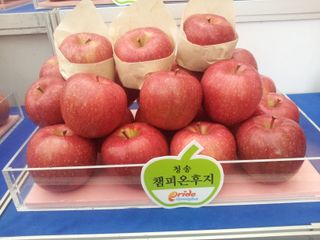 사과인조학제님의 사과 · 수확 작성글 사진