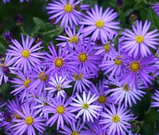 배영이님의 작성글 사진