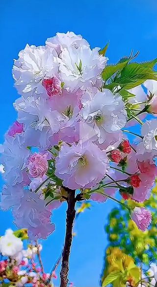 혁이네농원님의 가을 농사계획 알려주세요🍁 · 참여글 작성글 사진