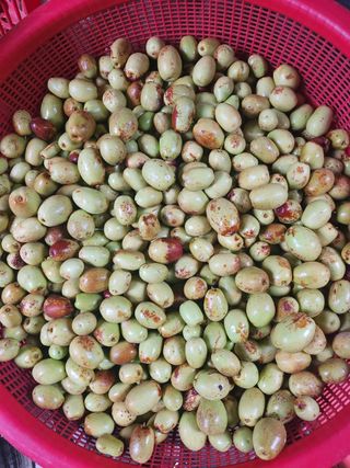 이의도님의 가을 농사계획 알려주세요🍁 · 참여글 작성글 사진