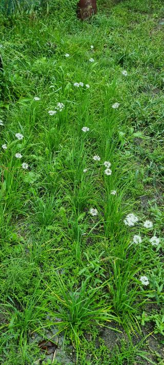 달방구님의 자유주제 · 자유게시판 작성글 사진