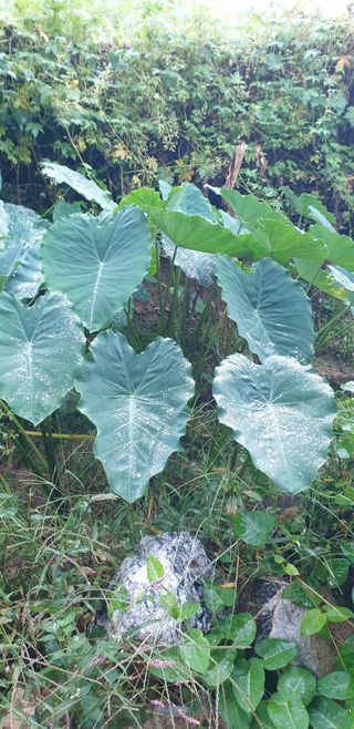해아래님의 자유주제 · 건의해요 작성글 사진