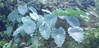 해아래님의 자유주제 · 건의해요 작성글 사진