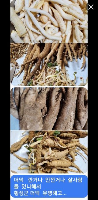 약초꾼님의 작성글 사진