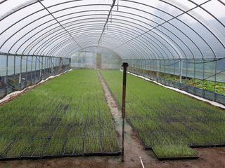 수박1번지님의 가을 농사계획 알려주세요🍁 · 참여글 작성글 사진