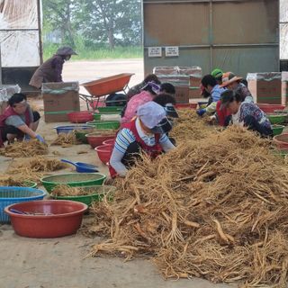 모두팜님의 작성글 사진