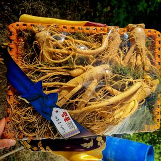 모두팜님의 작성글 사진