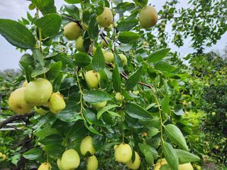 장지영님의 작성글 사진