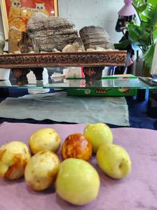 장지영님의 작성글 사진