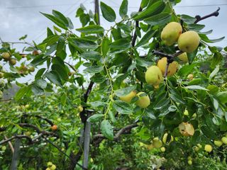 장지영님의 작성글 사진