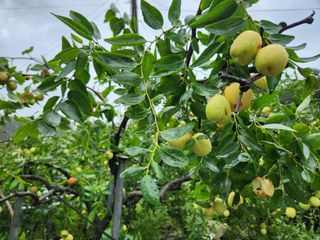 장지영님의 작성글 사진