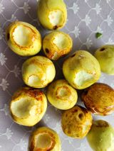 팜모닝 기타작물·자유게시판 게시글 이미지