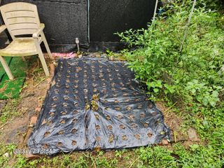 이훈정(시몬)님의 배추 · 일상 작성글 사진