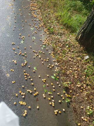 당근한개님의 자유주제 · 자유게시판 작성글 사진