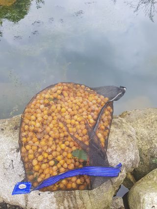 당근한개님의 자유주제 · 자유게시판 작성글 사진