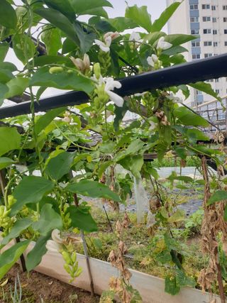 김화연님의 기타작물 · 자유게시판 작성글 사진