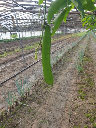 김화연님의 기타작물 · 자유게시판 작성글 사진