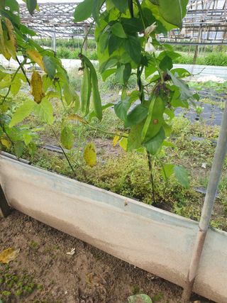 김화연님의 기타작물 · 자유게시판 작성글 사진