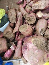 팜모닝 고구마·영농일지 게시글 이미지