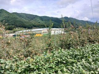 알 수 없음님의 우리동네 · 동네수다 작성글 사진