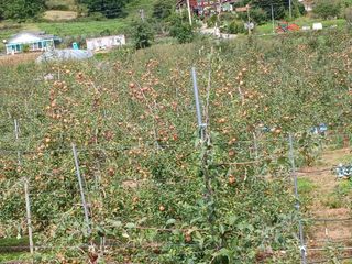 알 수 없음님의 우리동네 · 동네수다 작성글 사진
