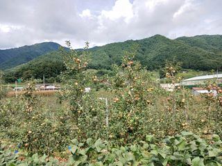 알 수 없음님의 우리동네 · 동네수다 작성글 사진