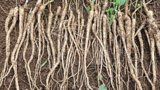 조병대님의 기타작물 · 자유게시판 작성글 사진