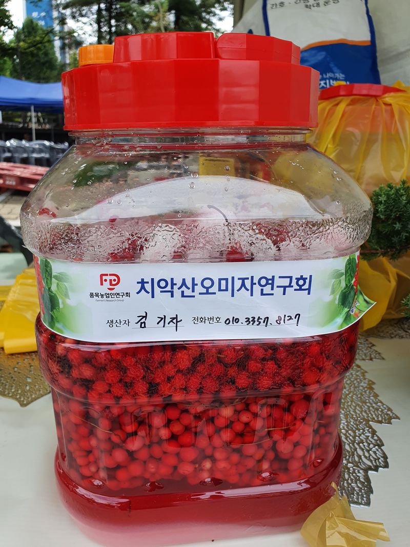 장터 상품 [생오미자10kg] 썸네일