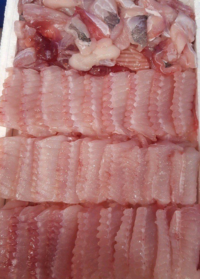 장터 상품 [홍어회  횟감  1키로ㅡ1.5키로] 썸네일