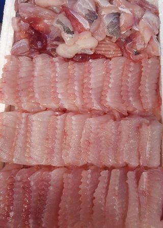 알 수 없음님의 작성글 사진