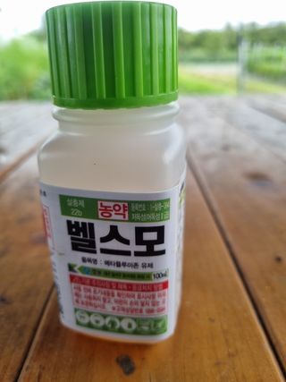 김한수님의 배추 · 영농일지 작성글 사진